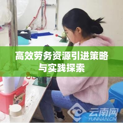 高效勞務(wù)資源引進策略與實踐探索