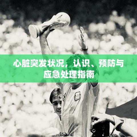 心臟突發(fā)狀況，認(rèn)識(shí)、預(yù)防與應(yīng)急處理指南