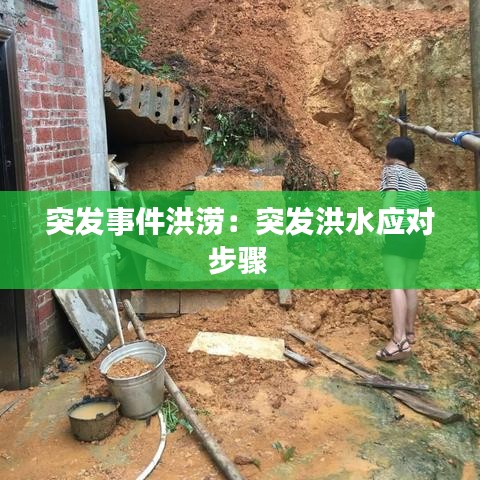突發(fā)事件洪澇：突發(fā)洪水應(yīng)對(duì)步驟 