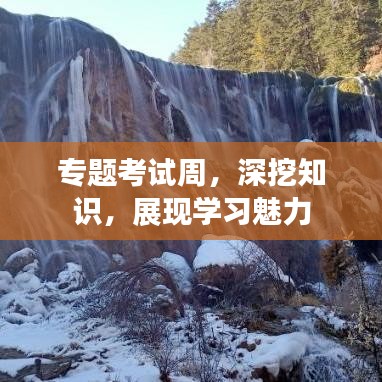 專題考試周，深挖知識，展現(xiàn)學習魅力
