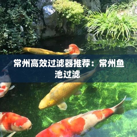 常州高效過濾器推薦：常州魚池過濾 