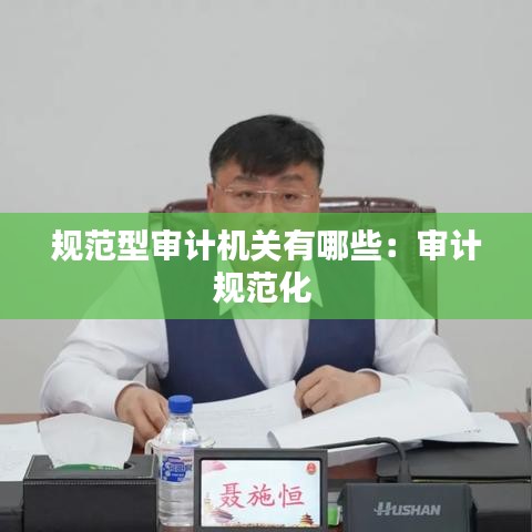 規(guī)范型審計機關有哪些：審計規(guī)范化 