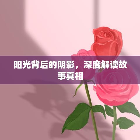 陽光背后的陰影，深度解讀故事真相