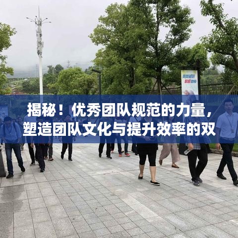 揭秘！優(yōu)秀團(tuán)隊規(guī)范的力量，塑造團(tuán)隊文化與提升效率的雙重秘訣