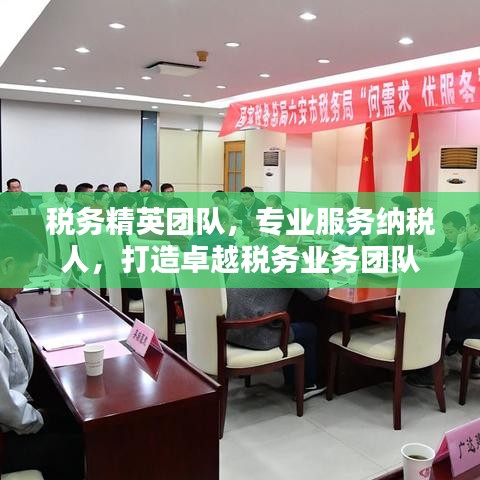 稅務(wù)精英團(tuán)隊(duì)，專業(yè)服務(wù)納稅人，打造卓越稅務(wù)業(yè)務(wù)團(tuán)隊(duì)