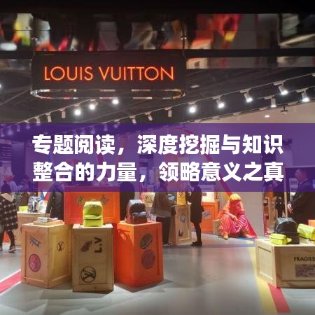 專題閱讀，深度挖掘與知識整合的力量，領(lǐng)略意義之真諦
