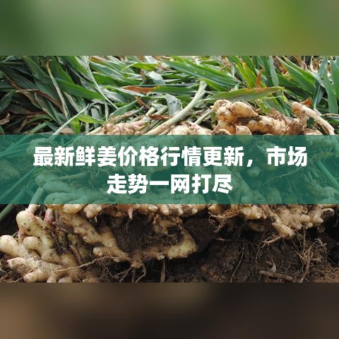 如翚斯飛 第3頁