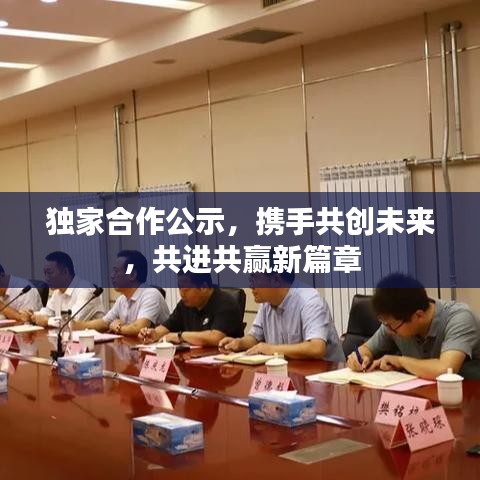 獨家合作公示，攜手共創(chuàng)未來，共進共贏新篇章