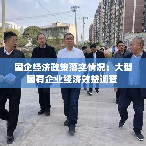 國(guó)企經(jīng)濟(jì)政策落實(shí)情況：大型國(guó)有企業(yè)經(jīng)濟(jì)效益調(diào)查 
