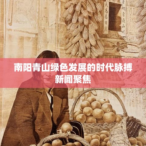 南陽青山綠色發(fā)展的時代脈搏新聞聚焦