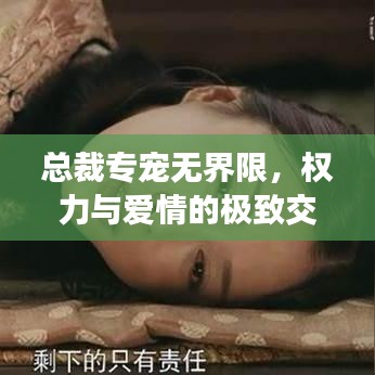 總裁專寵無界限，權(quán)力與愛情的極致交融