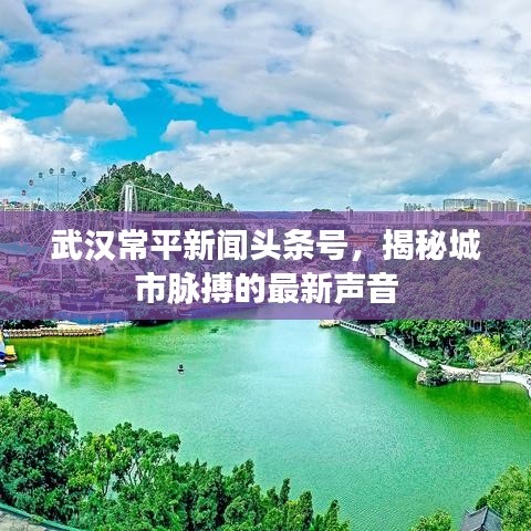 武漢常平新聞頭條號，揭秘城市脈搏的最新聲音