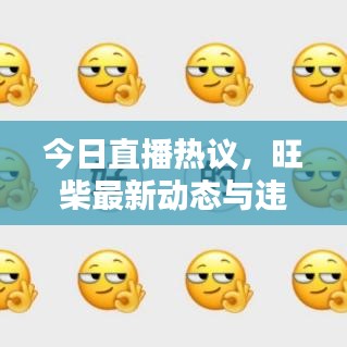 今日直播熱議，旺柴最新動(dòng)態(tài)與違法犯罪問題探討深度解析