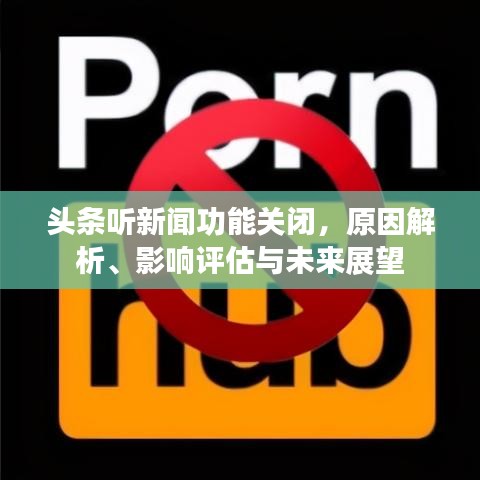 頭條聽新聞功能關(guān)閉，原因解析、影響評估與未來展望