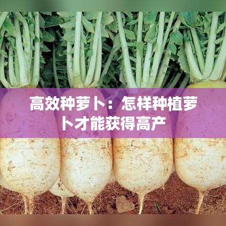 加盟合作 第133頁