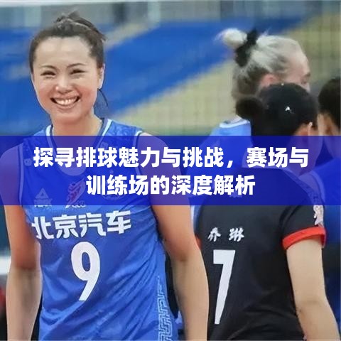 探尋排球魅力與挑戰(zhàn)，賽場(chǎng)與訓(xùn)練場(chǎng)的深度解析