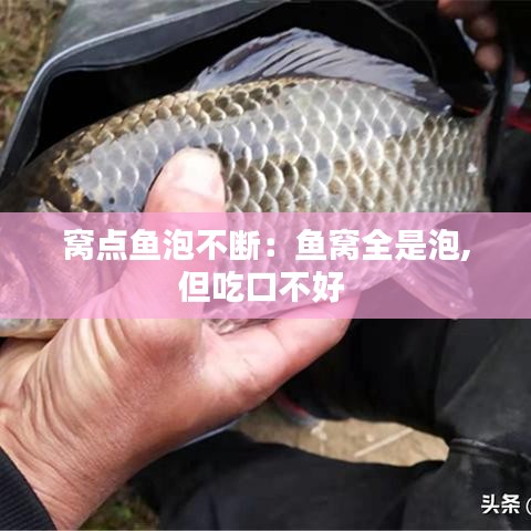 窩點魚泡不斷：魚窩全是泡,但吃口不好 