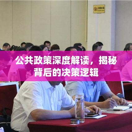 公共政策深度解讀，揭秘背后的決策邏輯