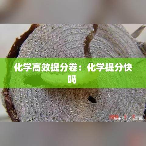 化學高效提分卷：化學提分快嗎 