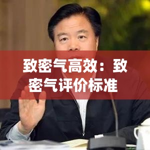 致密氣高效：致密氣評價標準 