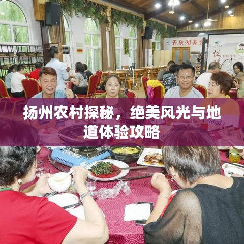 揚州農(nóng)村探秘，絕美風(fēng)光與地道體驗攻略