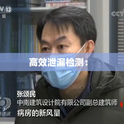 高效泄漏檢測(cè)： 