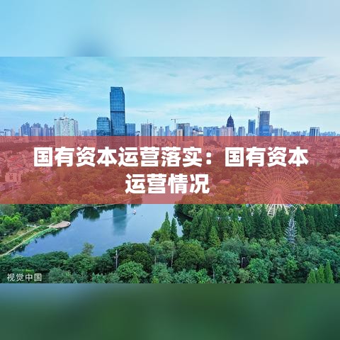 國有資本運營落實：國有資本運營情況 