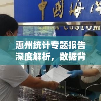 惠州統(tǒng)計專題報告深度解析，數(shù)據(jù)背后的真相與洞察