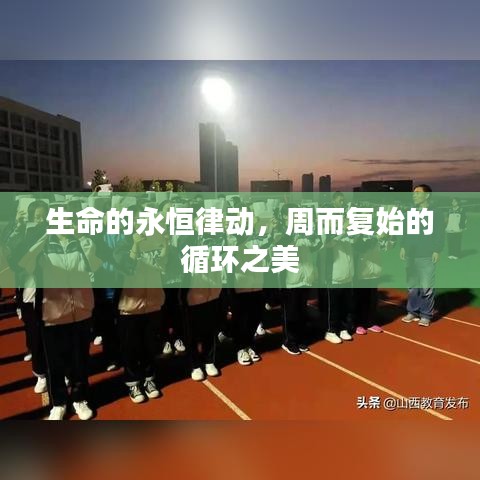 生命的永恒律動，周而復(fù)始的循環(huán)之美