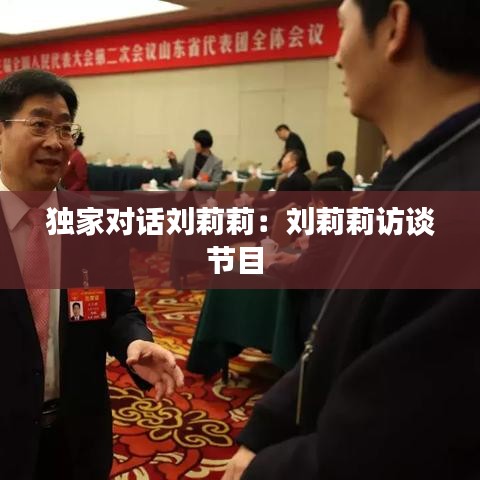 獨(dú)家對(duì)話劉莉莉：劉莉莉訪談節(jié)目 