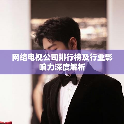 網(wǎng)絡(luò)電視公司排行榜及行業(yè)影響力深度解析