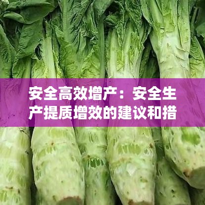 安全高效增產(chǎn)：安全生產(chǎn)提質(zhì)增效的建議和措施 