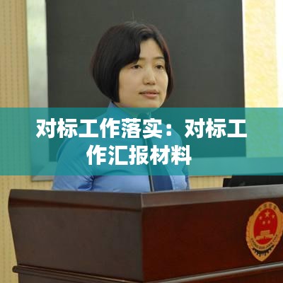 對標(biāo)工作落實：對標(biāo)工作匯報材料 