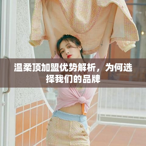 溫柔頂加盟優(yōu)勢(shì)深度解析，選擇我們的品牌理由
