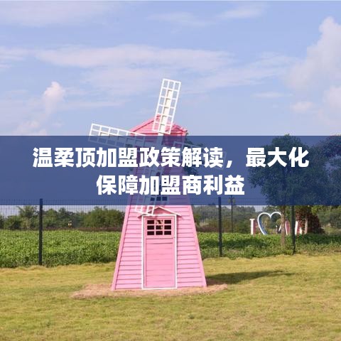 溫柔頂加盟政策詳解，最大化保障加盟商利益