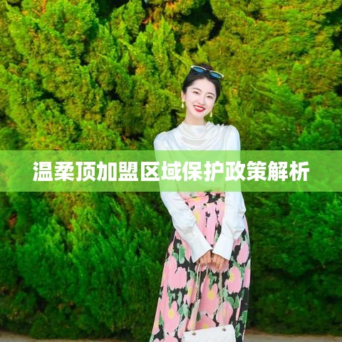 溫柔頂加盟區(qū)域保護政策深度解讀