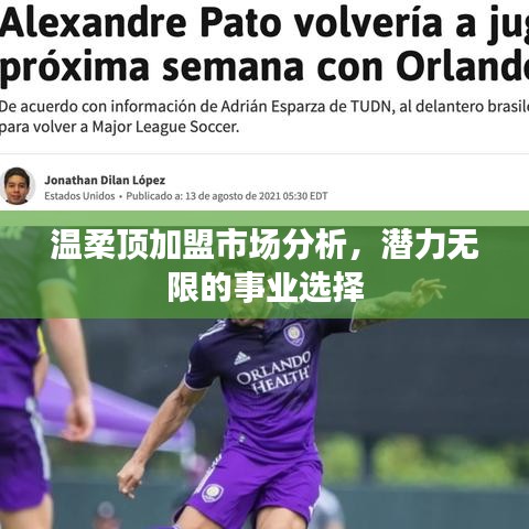 溫柔頂加盟市場深度解析，事業(yè)潛力無限選擇