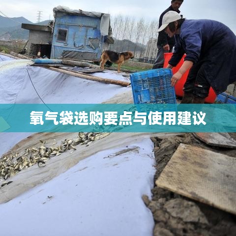 氧氣袋選購指南，要點解析與使用建議