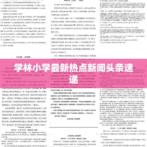 學(xué)林小學(xué)最新熱點新聞頭條速遞