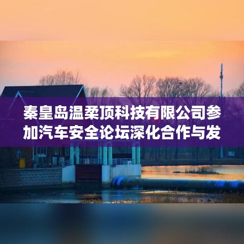 秦皇島溫柔頂科技參加汽車安全論壇，深化合作，共謀發(fā)展
