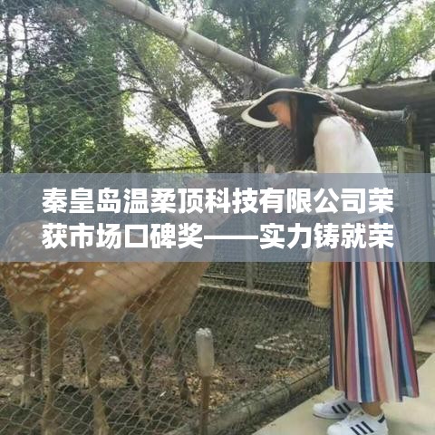 秦皇島溫柔頂科技榮獲市場口碑獎(jiǎng)，實(shí)力創(chuàng)新，引領(lǐng)未來