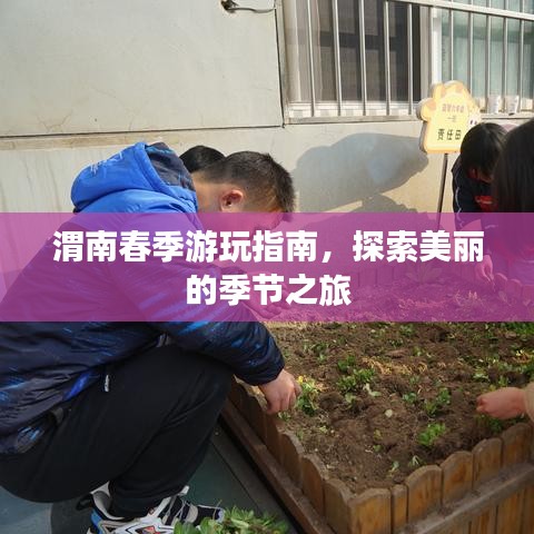 渭南春季游玩指南，探索美麗的季節(jié)之旅