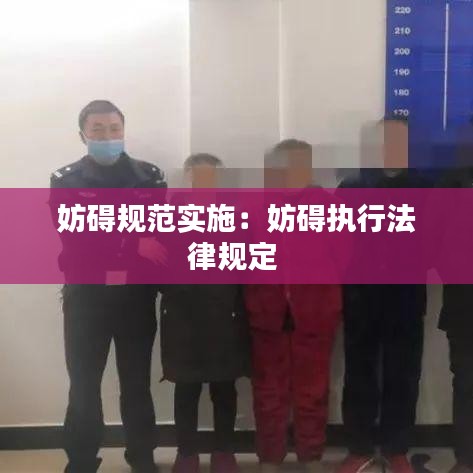 妨礙規(guī)范實施：妨礙執(zhí)行法律規(guī)定 