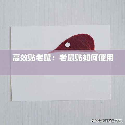 高效貼老鼠：老鼠貼如何使用 