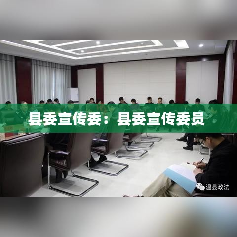 縣委宣傳委：縣委宣傳委員 