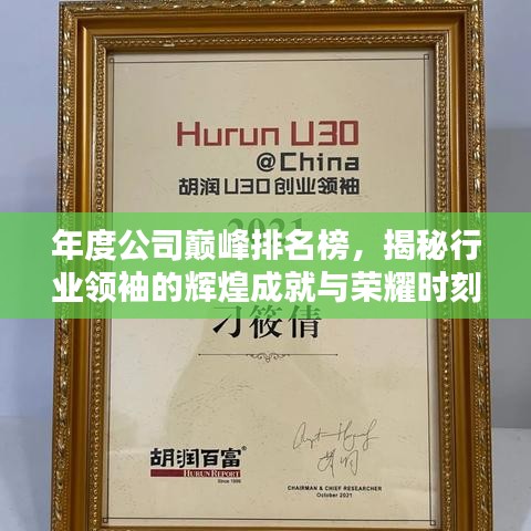 年度公司巔峰排名榜，揭秘行業(yè)領袖的輝煌成就與榮耀時刻