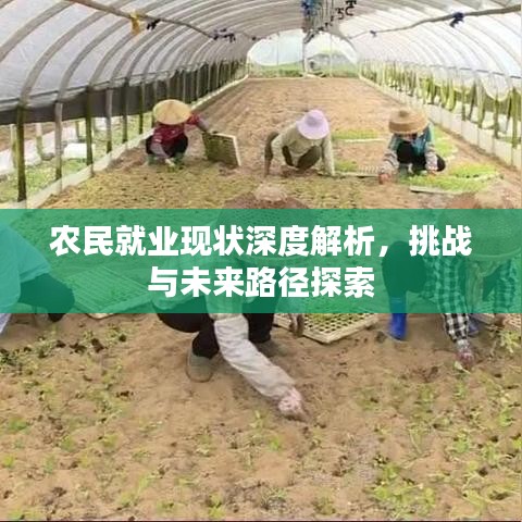 農(nóng)民就業(yè)現(xiàn)狀深度解析，挑戰(zhàn)與未來路徑探索