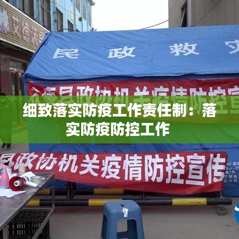 細(xì)致落實(shí)防疫工作責(zé)任制：落實(shí)防疫防控工作 