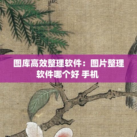 圖庫高效整理軟件：圖片整理軟件哪個好 手機(jī) 
