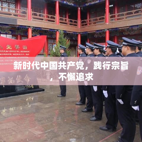 新時(shí)代中國(guó)共產(chǎn)黨，踐行宗旨，不懈追求